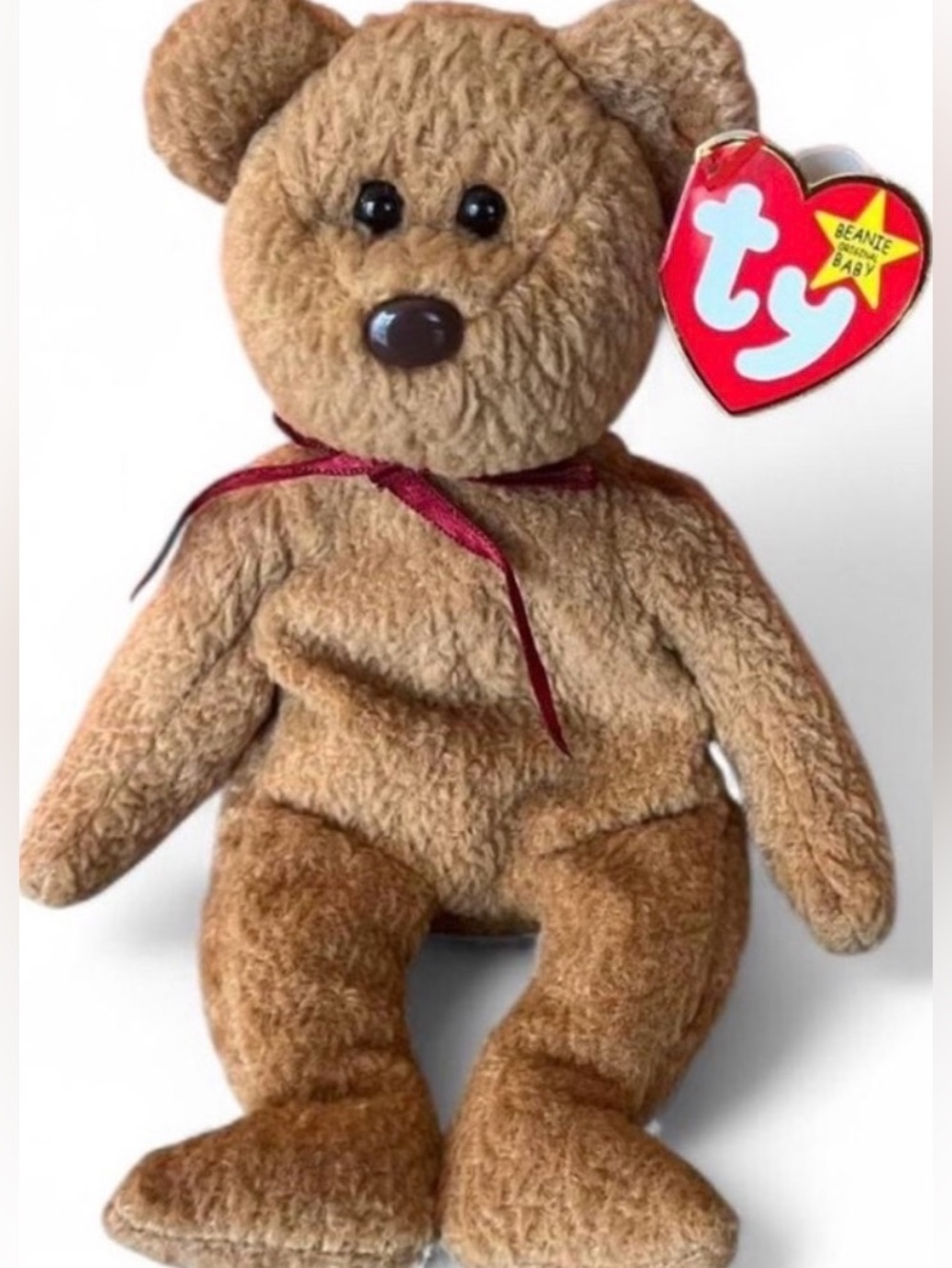 Curly  The Bear